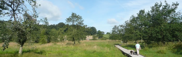 Blithfield walkway