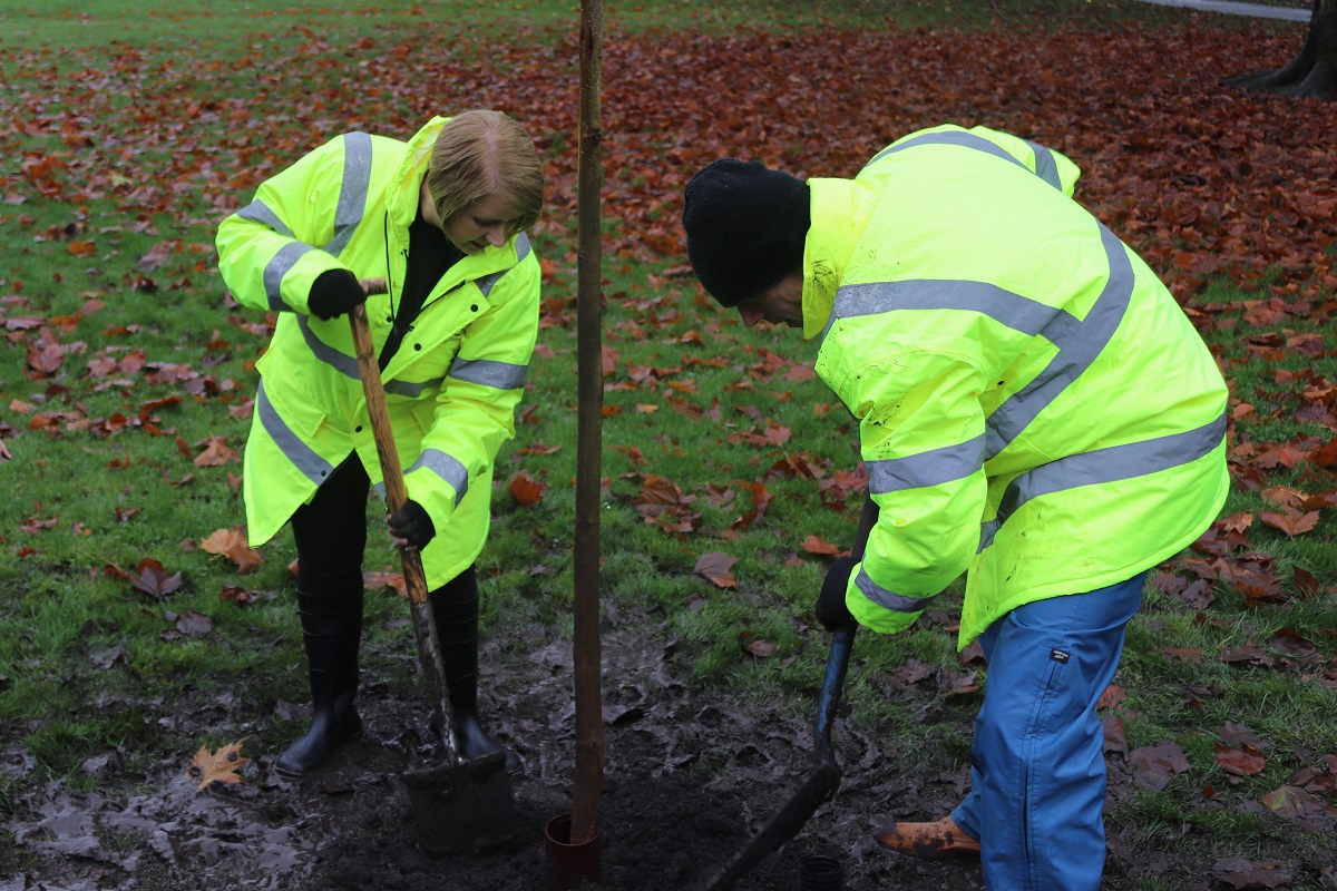 Photo shows our director of HR planting a  tree