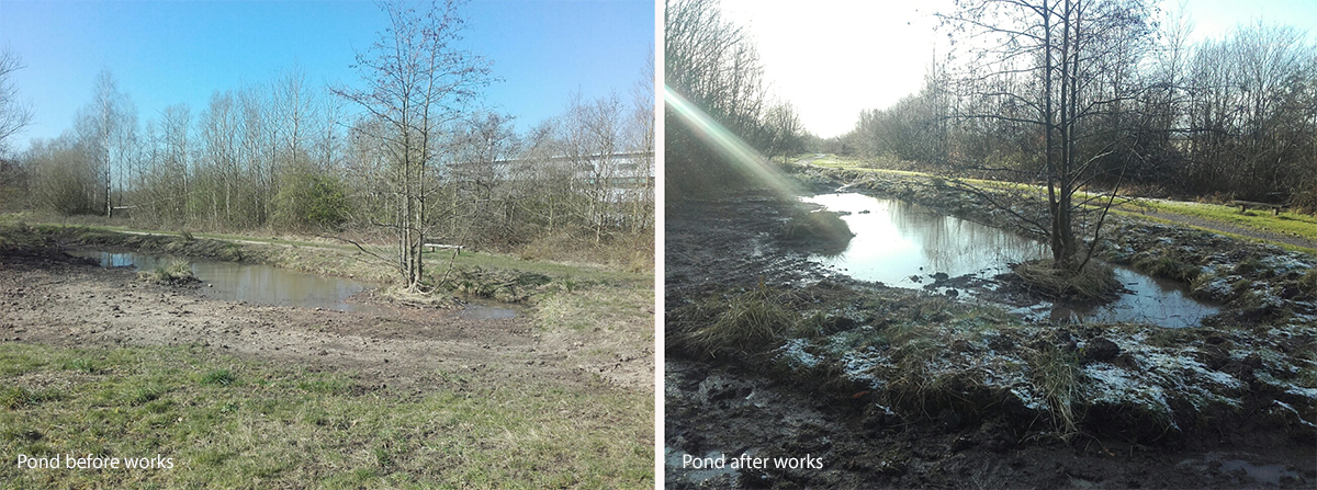 Photo showing a pond before and after works