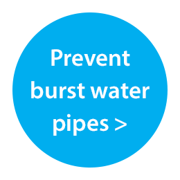 prevent burst water pipes link button