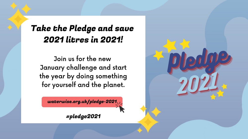 Graphic stating Pledge 2021