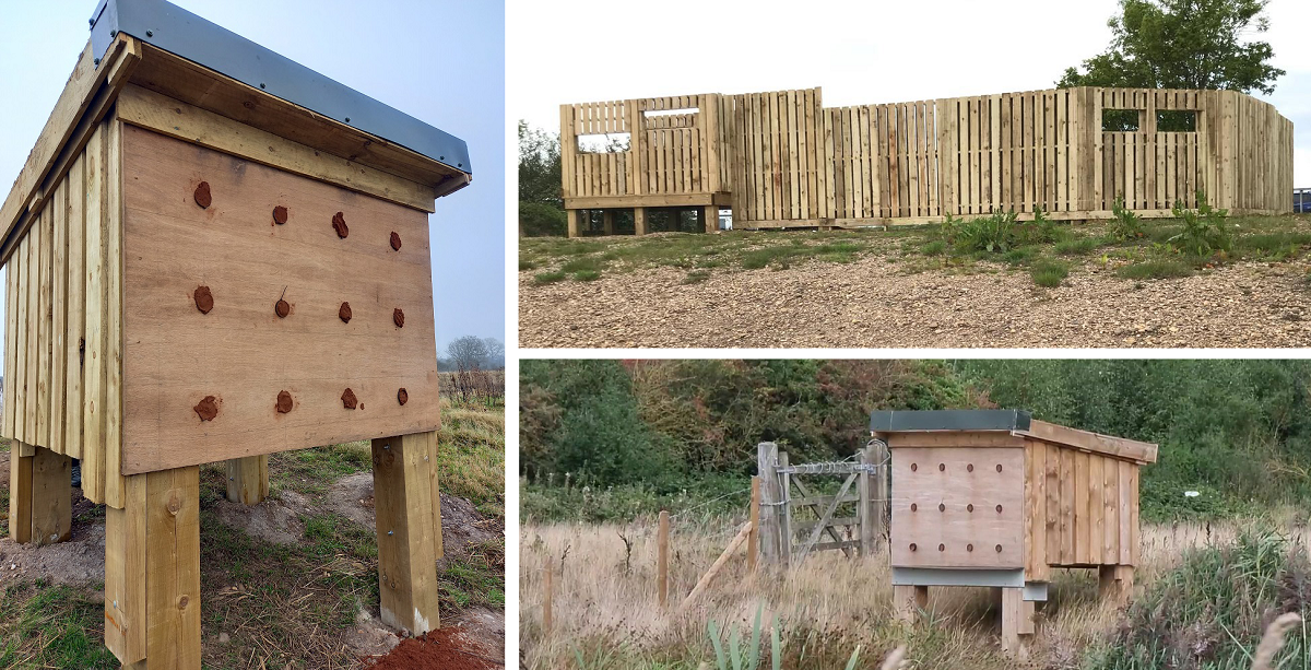 Photo collage of the sandmartin nesting colony and bird hide