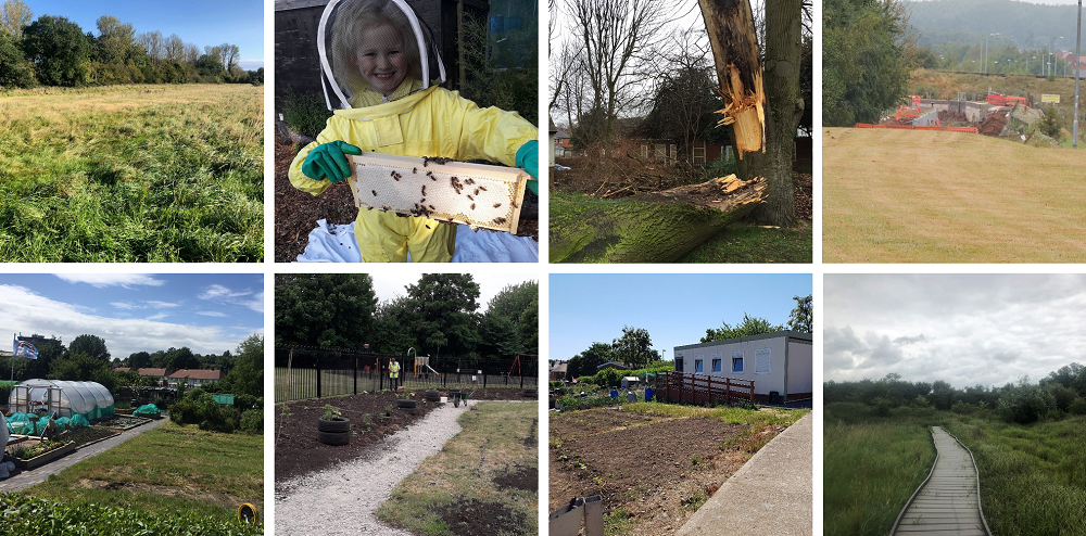 Photo collage of the projects