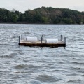 Blithfield tern raft